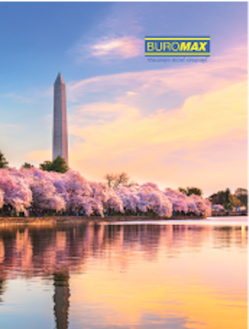 Зошит, А4, 96 арк, клітинка, тв.обкладинка